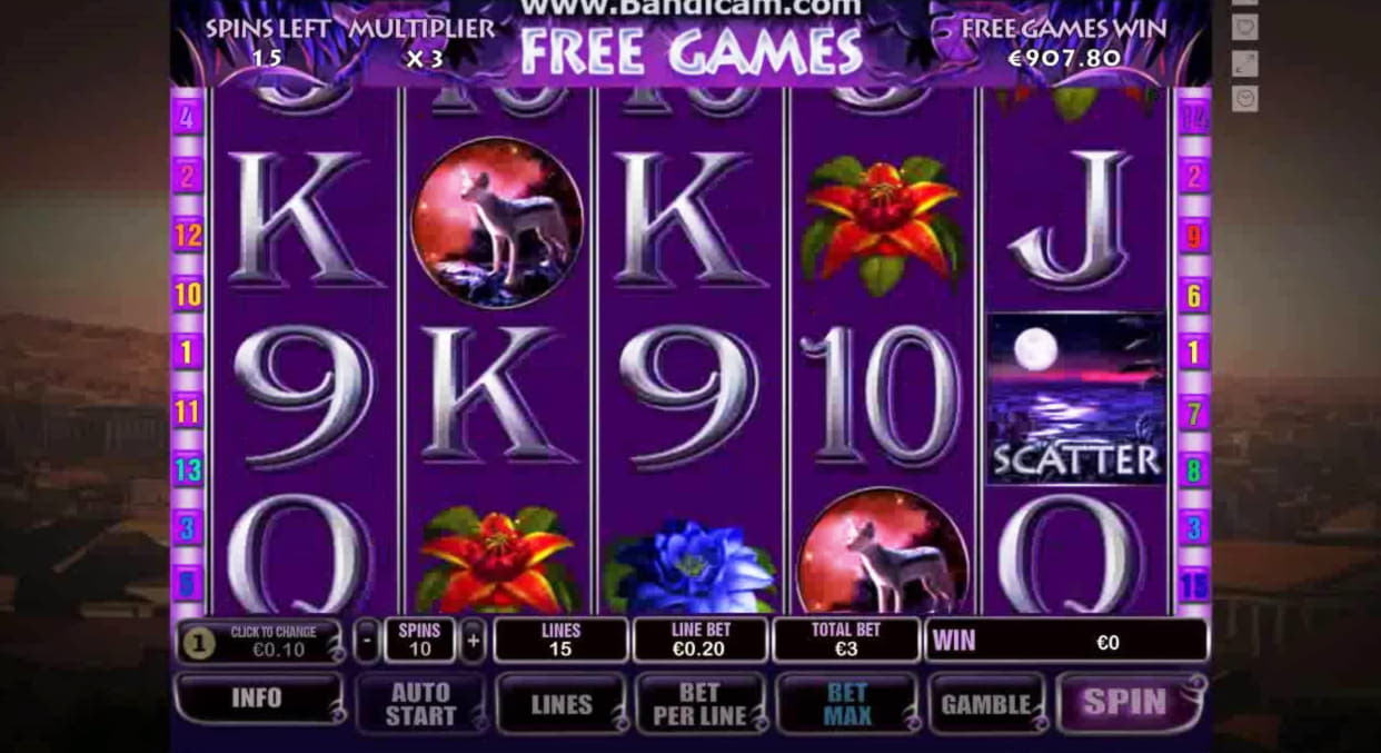 $310 Free Casino Ticket at Royal Dubai Casino