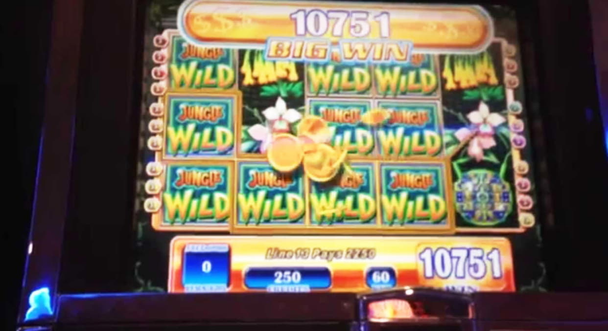 €3000 No deposit at Spin Palace Casino