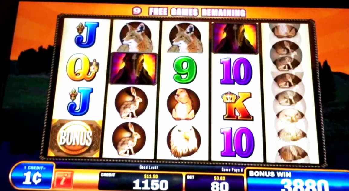 €800 Casino Tournament at Intertops Casino