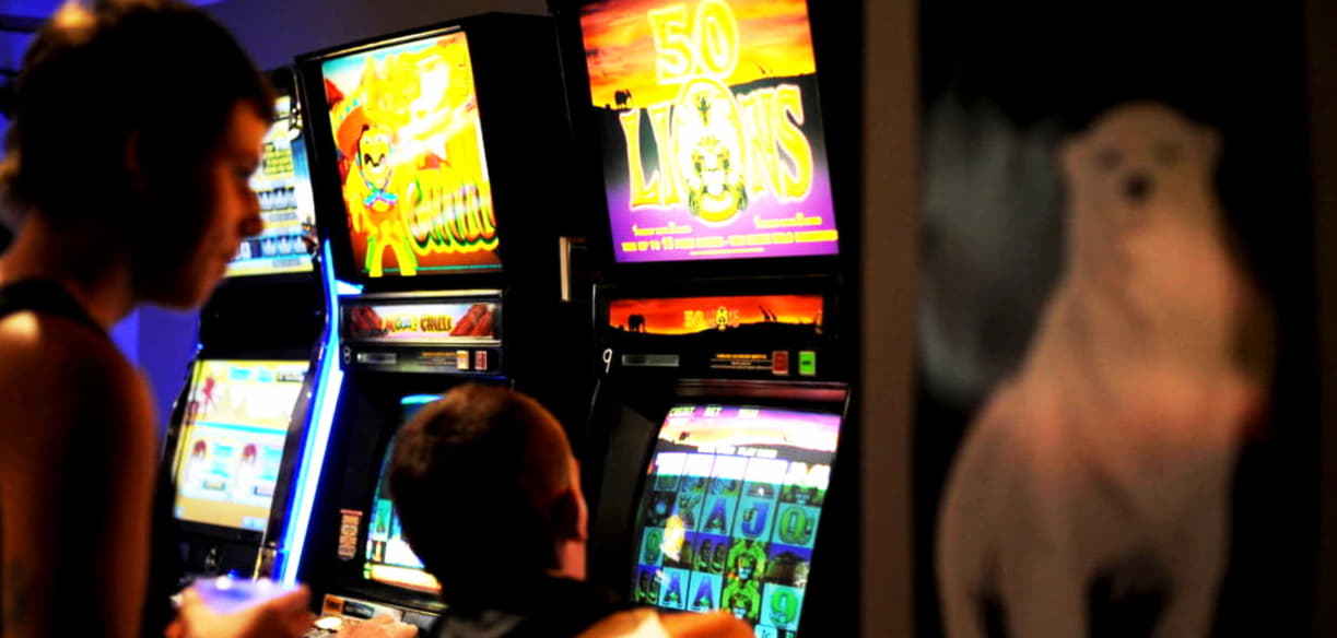EUR 3995 no deposit bonus code at Wild Blaster Casino