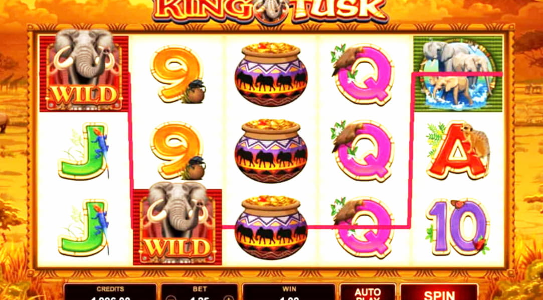 ﻿$100 Tournament at Treasure Island Jackpots Casino (Australia Casino Mirror)