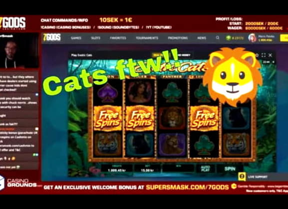 €290 Free Chip at Wild Blaster Casino