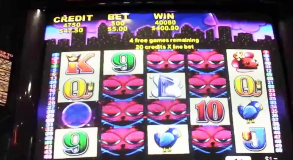 ﻿$990 Daily freeroll slot tournament at Emu Casino