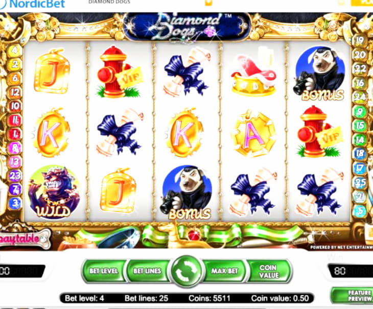 145% Casino match bonus at Leo Dubai Casino