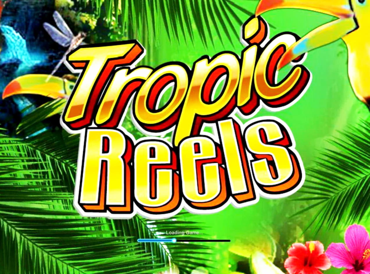 $480 no deposit bonus code at Joy Casino