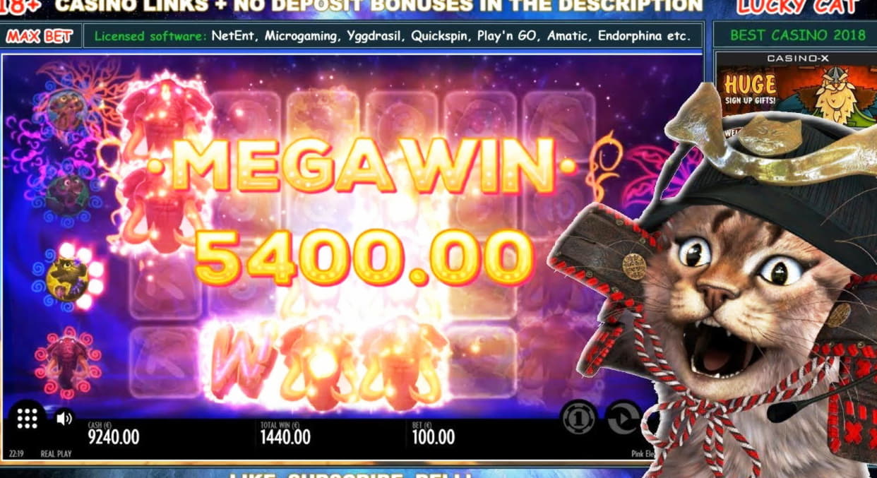 €935 Daily freeroll slot tournament at Leo Dubai Casino