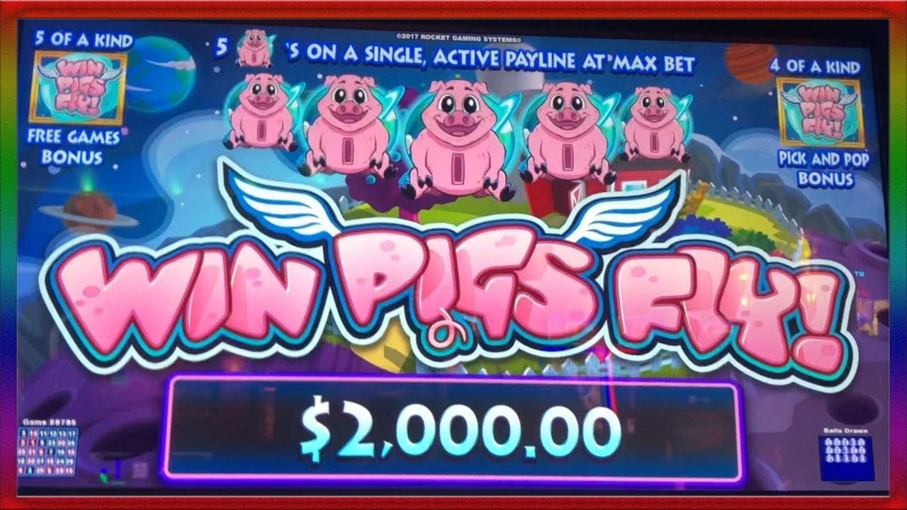 ﻿$2330 no deposit bonus code at Wild Blaster Casino