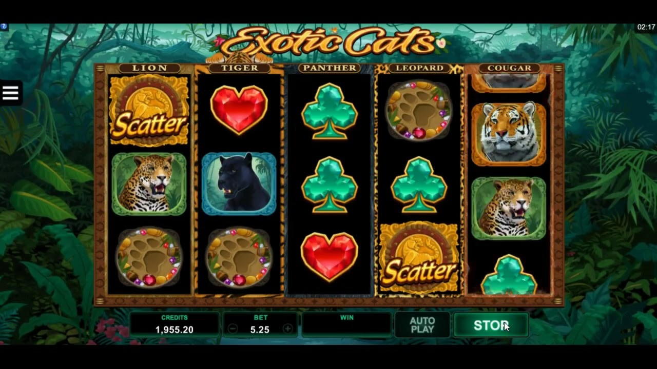 135 Free spins casino at All Slots Casino