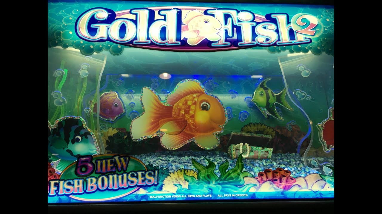 €220 Free Casino Chip at River Belle Casino