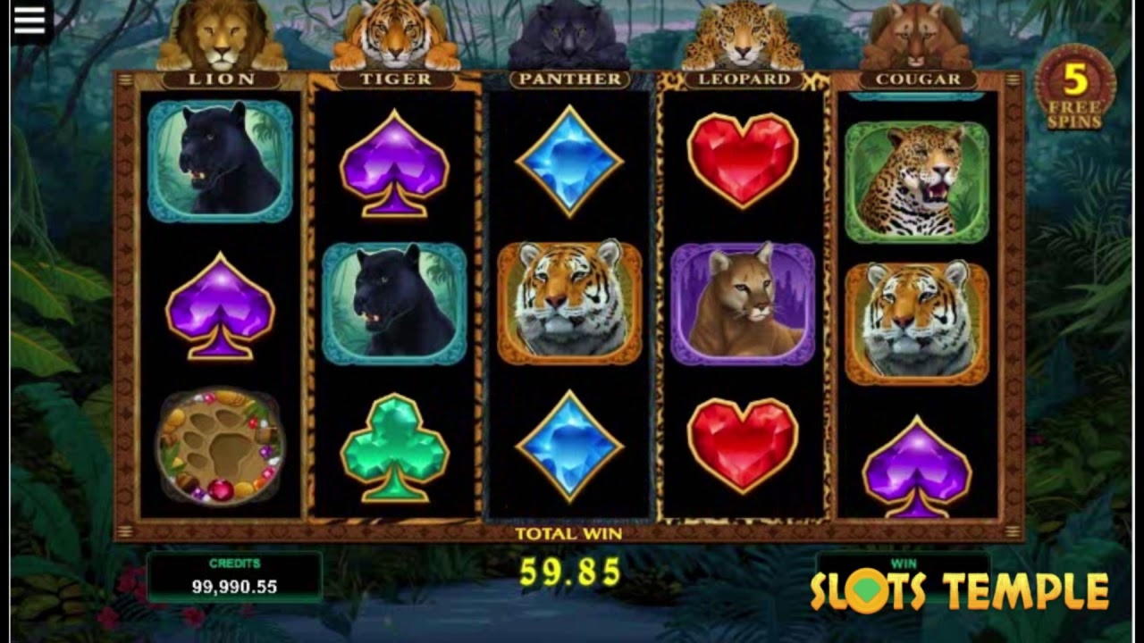 880% Signup Casino Bonus at bWin Casino