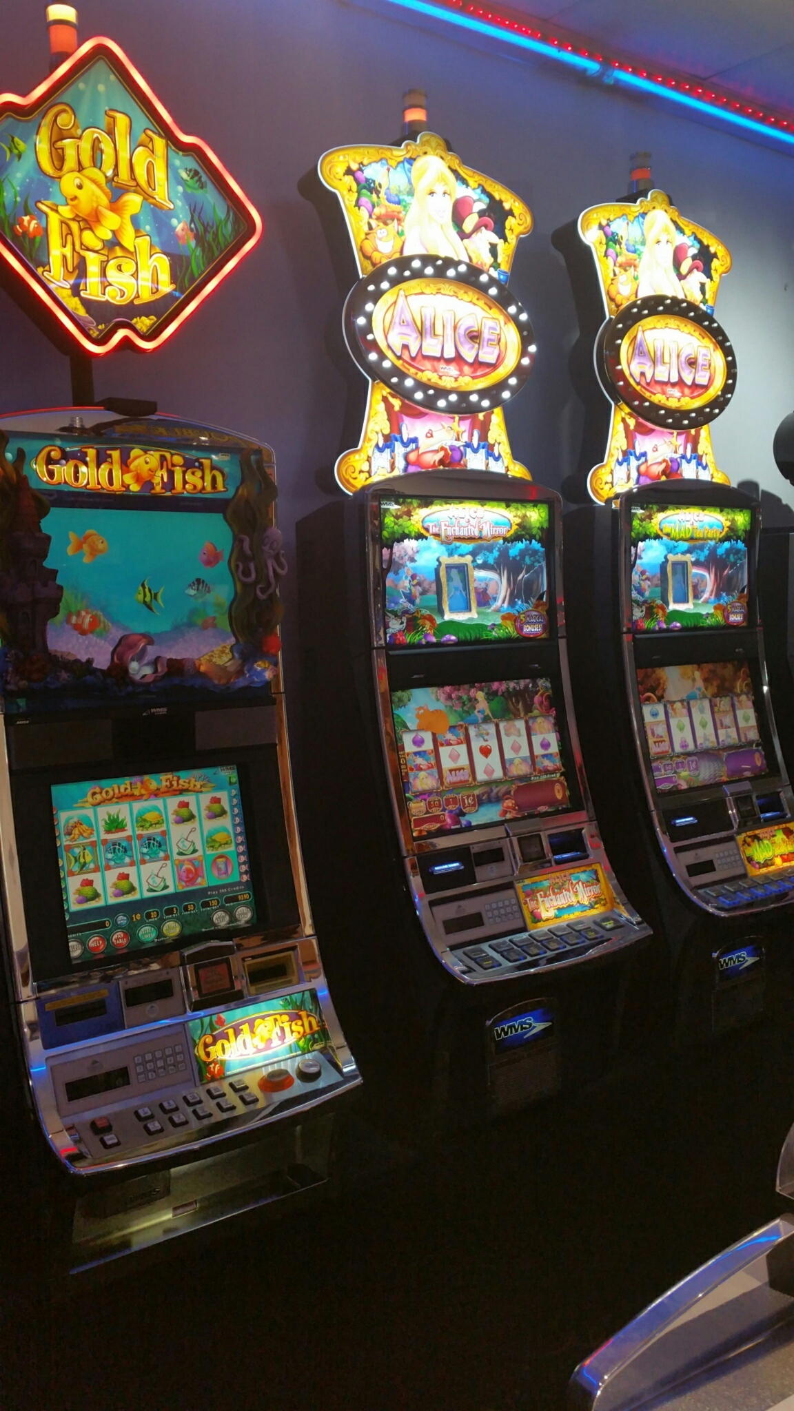 195 Free Spins Casino at All Slots Casino