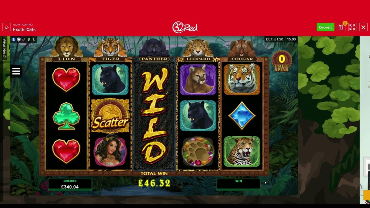 ﻿$3100 No Deposit at Casino com