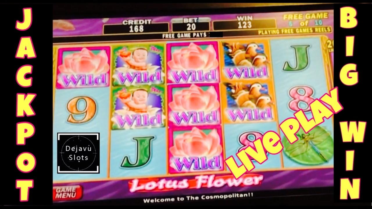 £3390 No Deposit Bonus Code at Volt Casino