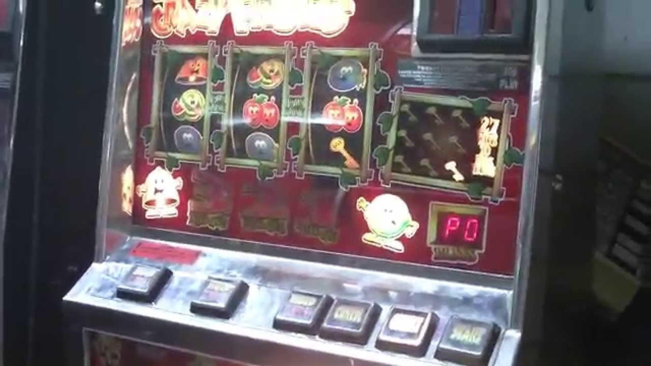 $515 Mobile freeroll slot tournament at Leo Dubai Casino