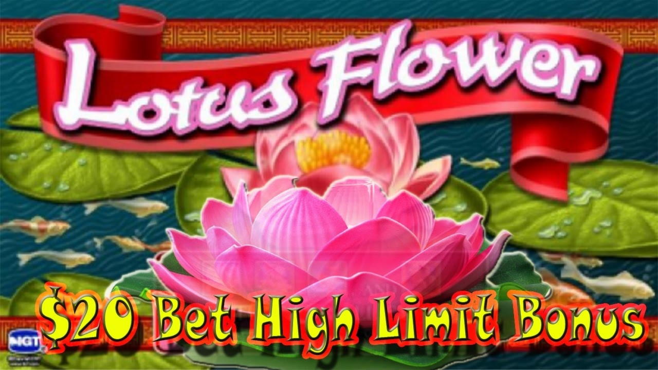EURO 965 Casino tournaments freeroll at Casino com