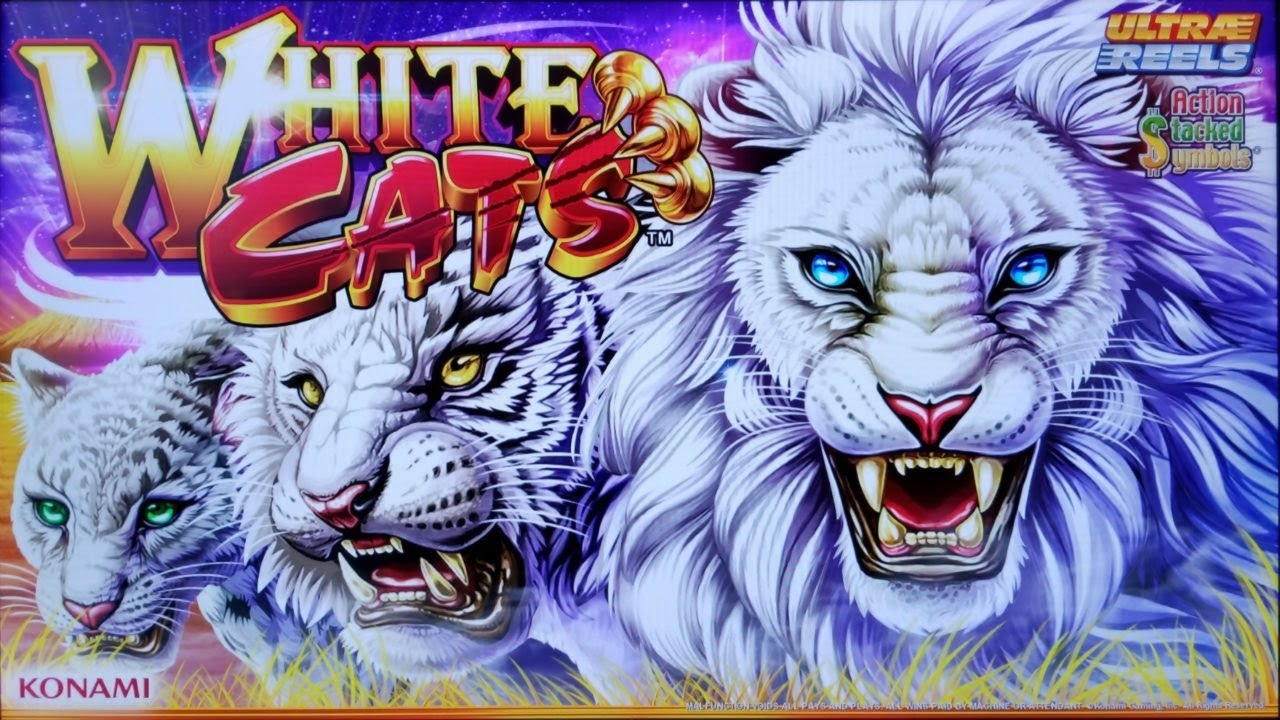 ﻿$180 free chip casino at Betway Casino