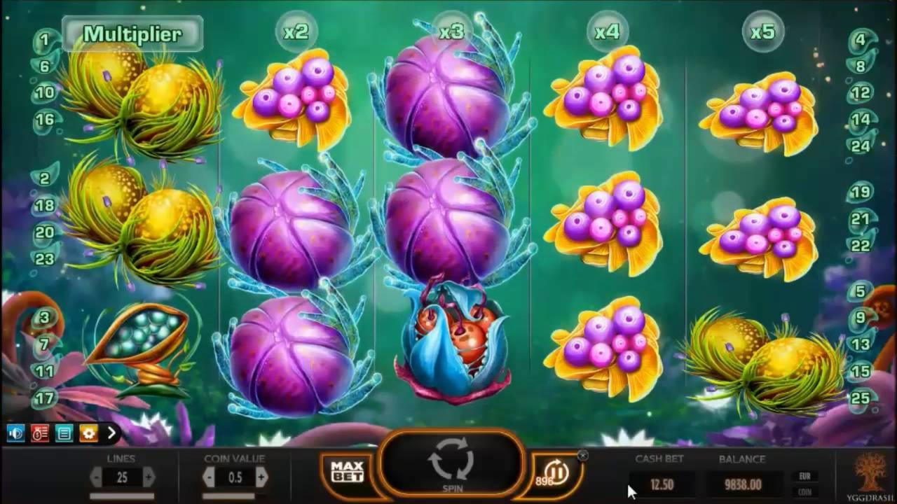 55 free spins no deposit casino at Spin Palace Casino