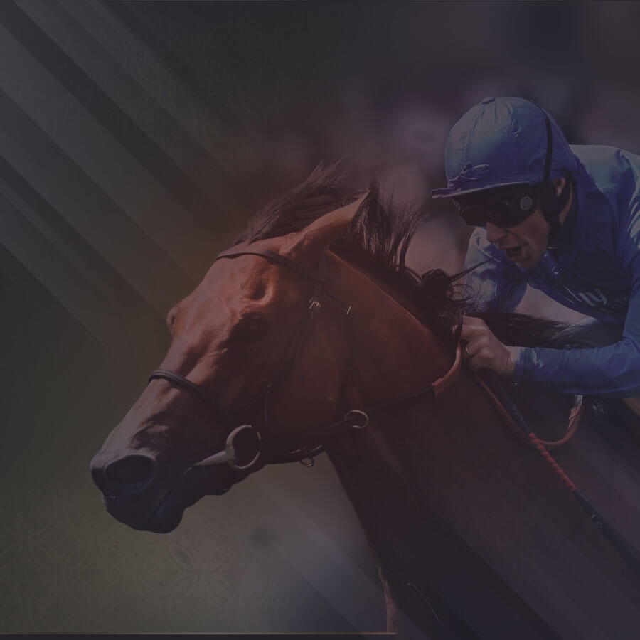$315 FREE Chip at Casino com