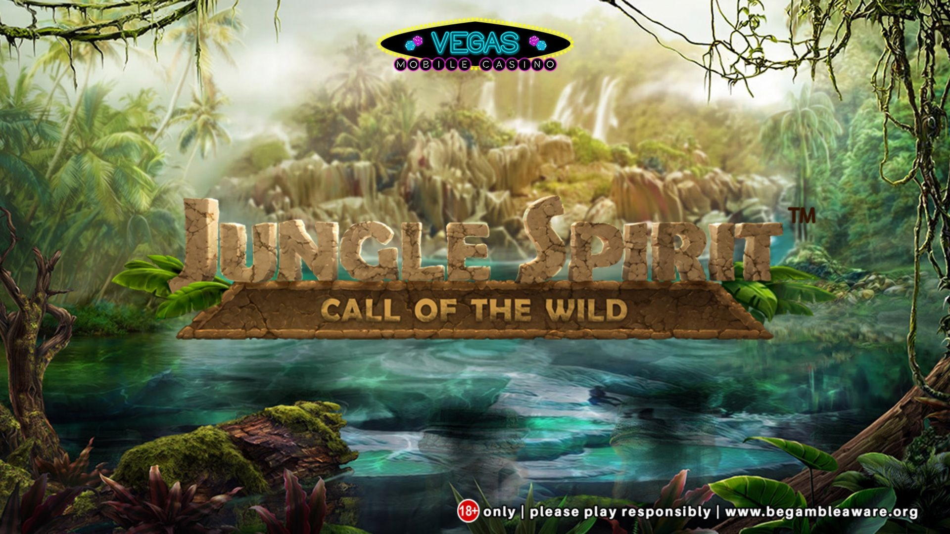 210 Free Spins no deposit at Spin Palace Casino