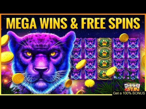 840% Casino match bonus at Wild Blaster Casino
