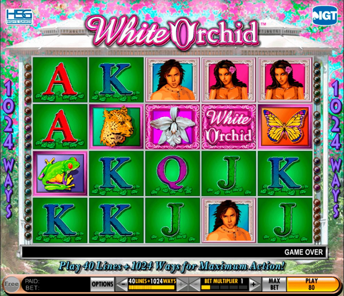 Eur 1155 no deposit bonus casino at Royal Vegas Casino