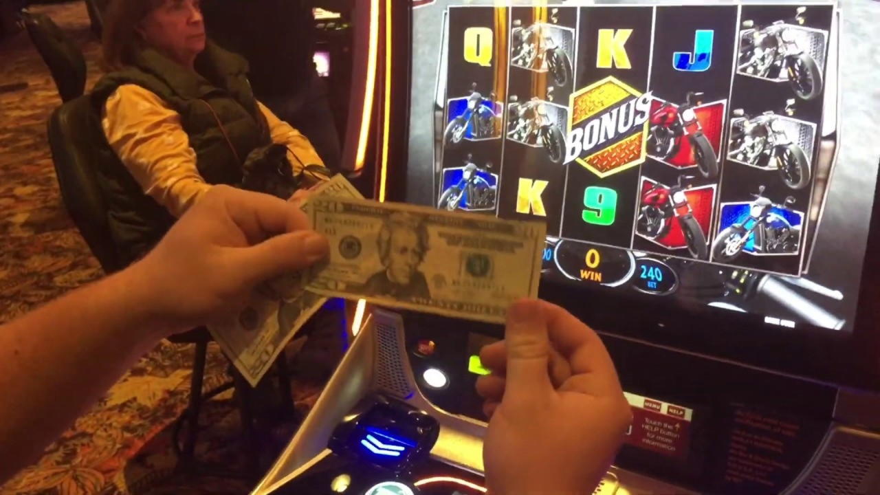 EURO 1615 No Deposit Casino Bonus at Treasure Island Jackpots Casino (Australia Casino Mirror)