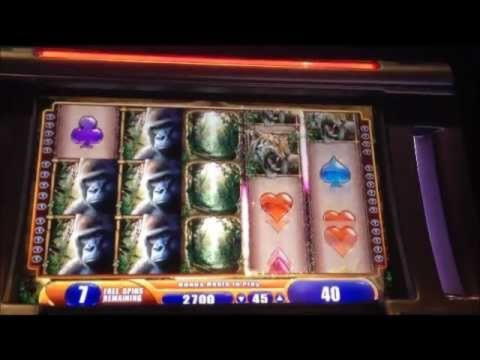 $525 Casino tournaments freeroll at Gaming Club Casino