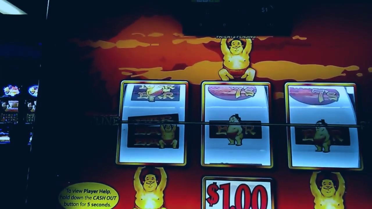 €285 Daily freeroll slot tournament at Wild Blaster Casino