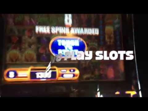 660% Signup casino bonus at Treasure Island Jackpots Casino (Australia Casino Mirror)