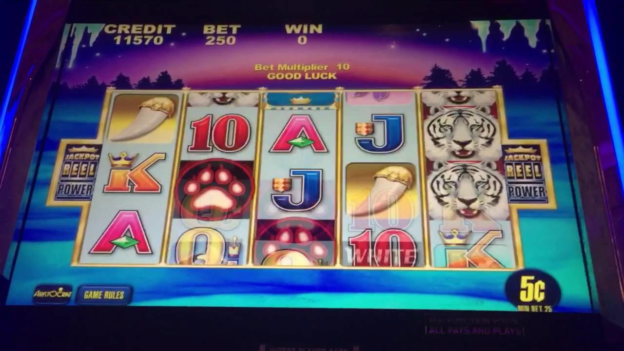 €820 Daily freeroll slot tournament at River Belle Casino