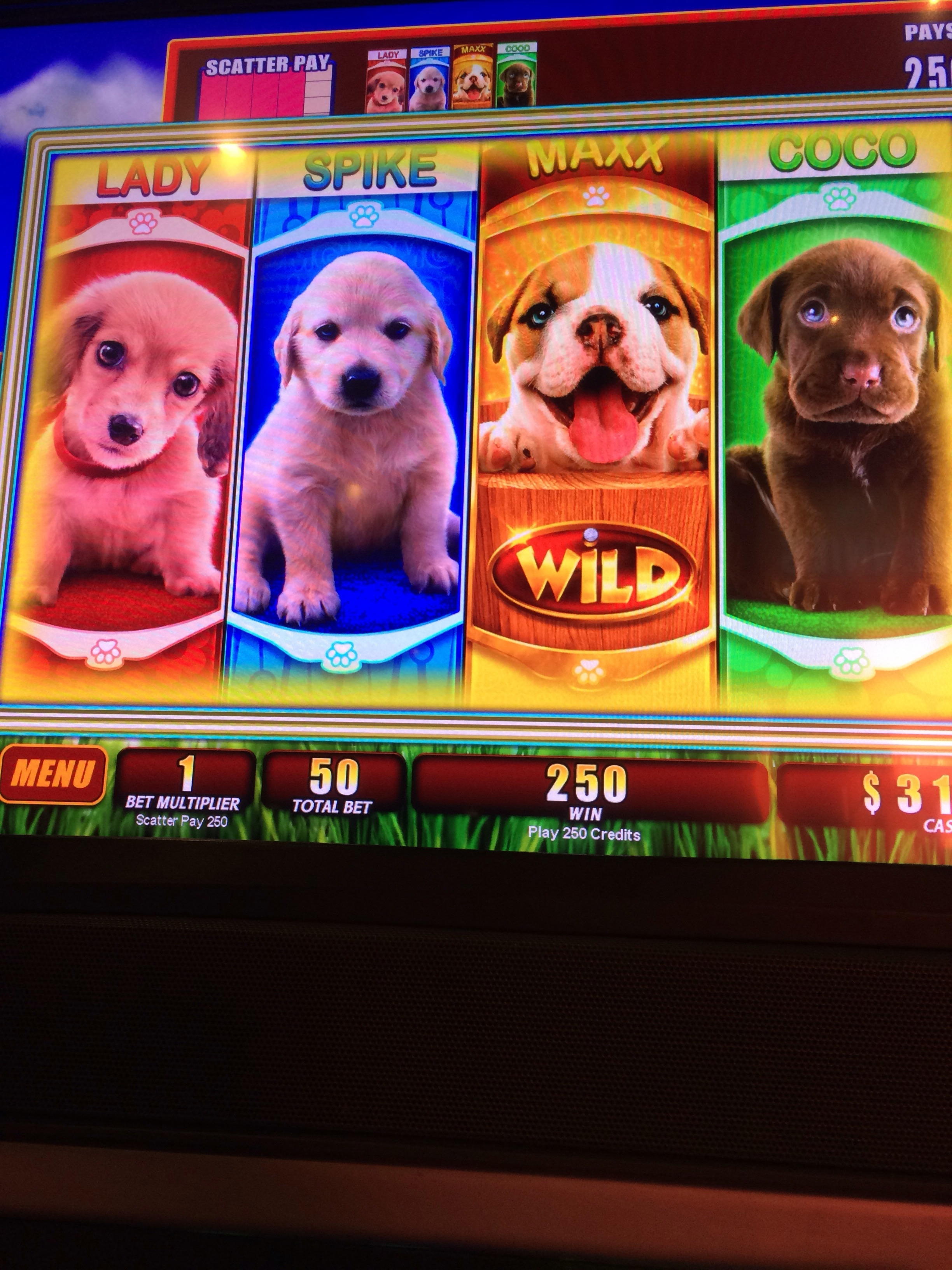 90 Loyal Free Spins! at 777 Casino