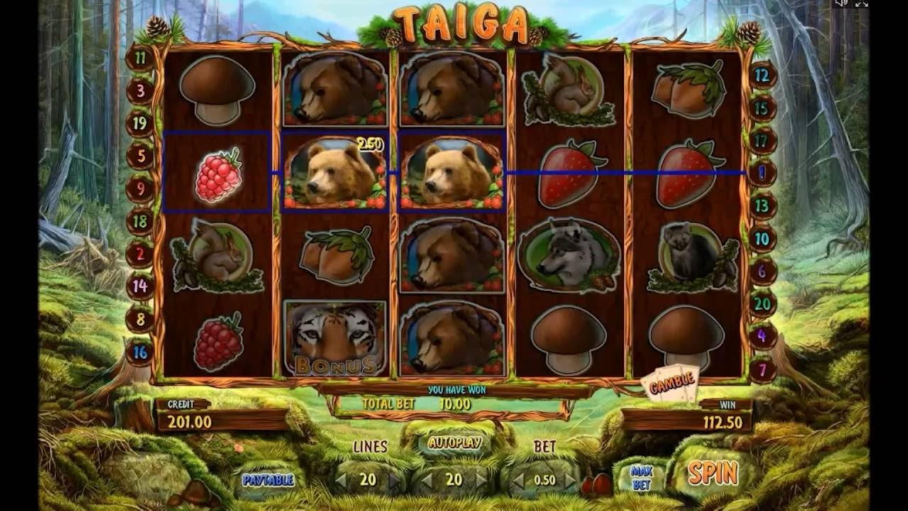 EUR 160 Free casino chip at Wild Blaster Casino