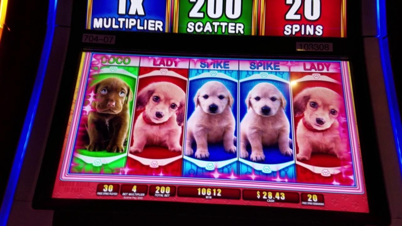 €3765 No deposit bonus code at Emu Casino