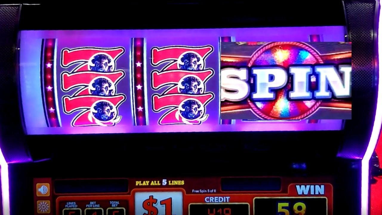 €565 Free Chip at Spin Palace Casino