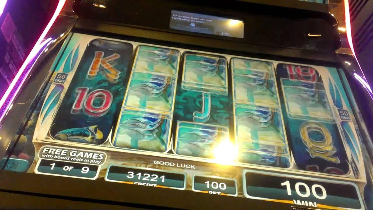€590 Free Casino Tournament at Leo Dubai Casino