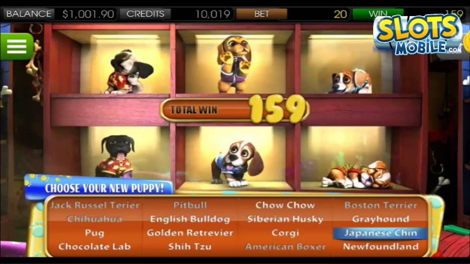 615% Welcome Bonus at Wild Blaster Casino