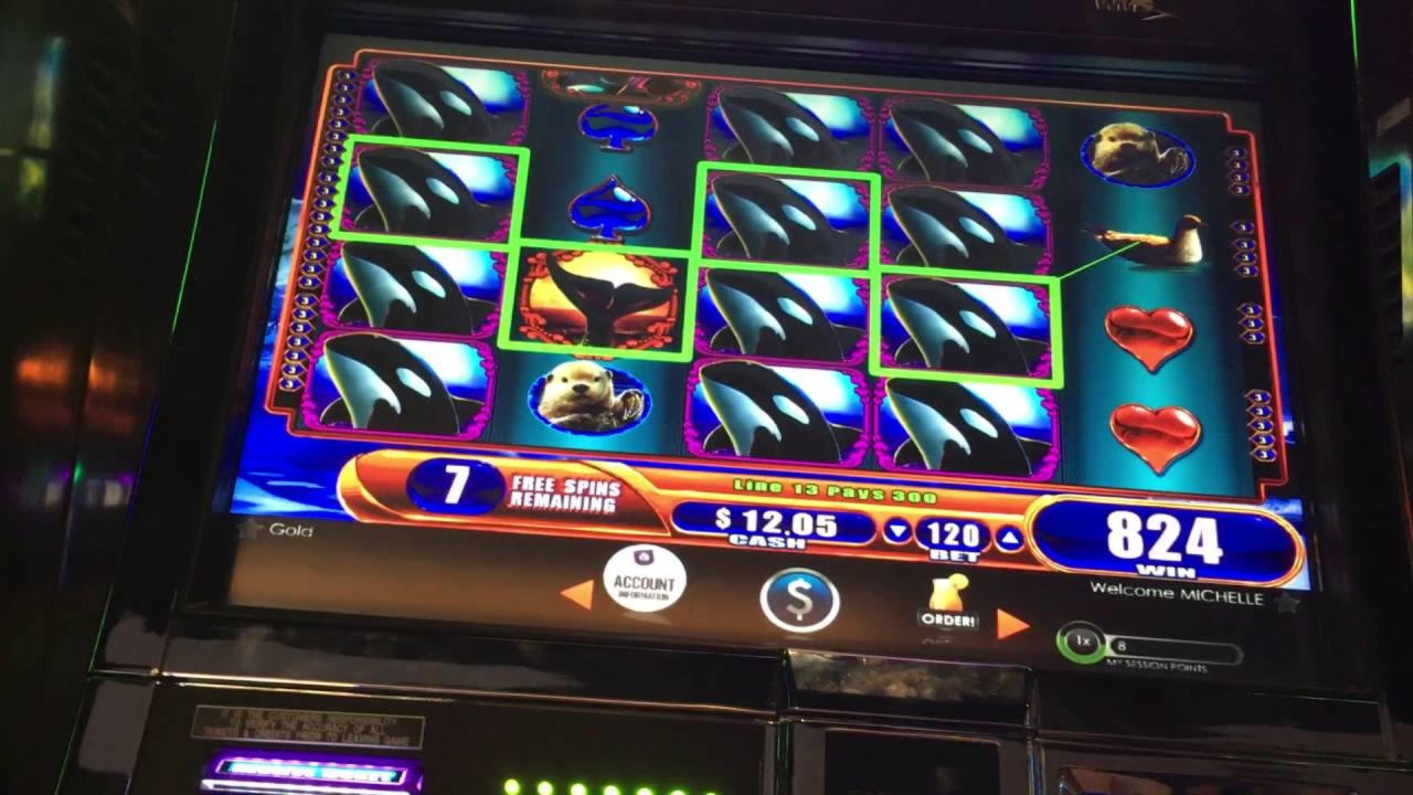 €1355 NO DEPOSIT BONUS CODE at Spin Palace Casino