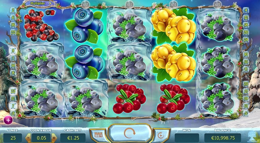 ﻿$625 Casino Chip at Wild Blaster Casino