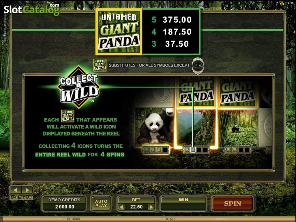 €1830 no deposit bonus at Wild Blaster Casino