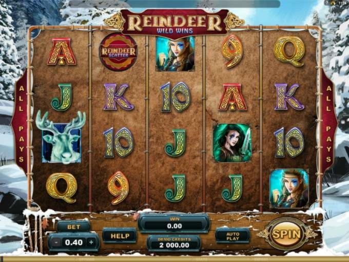 €265 Daily freeroll slot tournament at Wild Blaster Casino