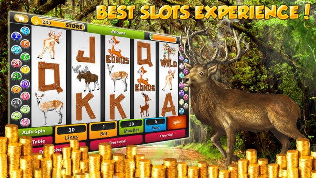Eur 520 Casino tournaments freeroll at Treasure Island Jackpots Casino (Australia Casino Mirror)