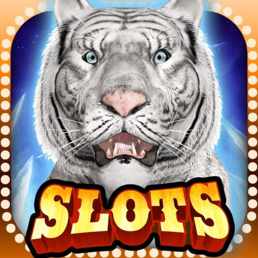275% No Rules Bonus! at Lucky Nugget Casino