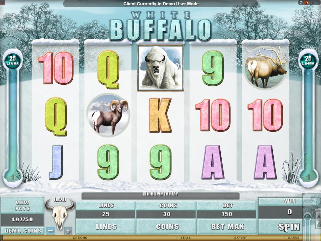 $650 Casino Tournament at Casino-X