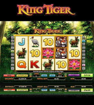 650% Match at a Casino at Wild Blaster Casino