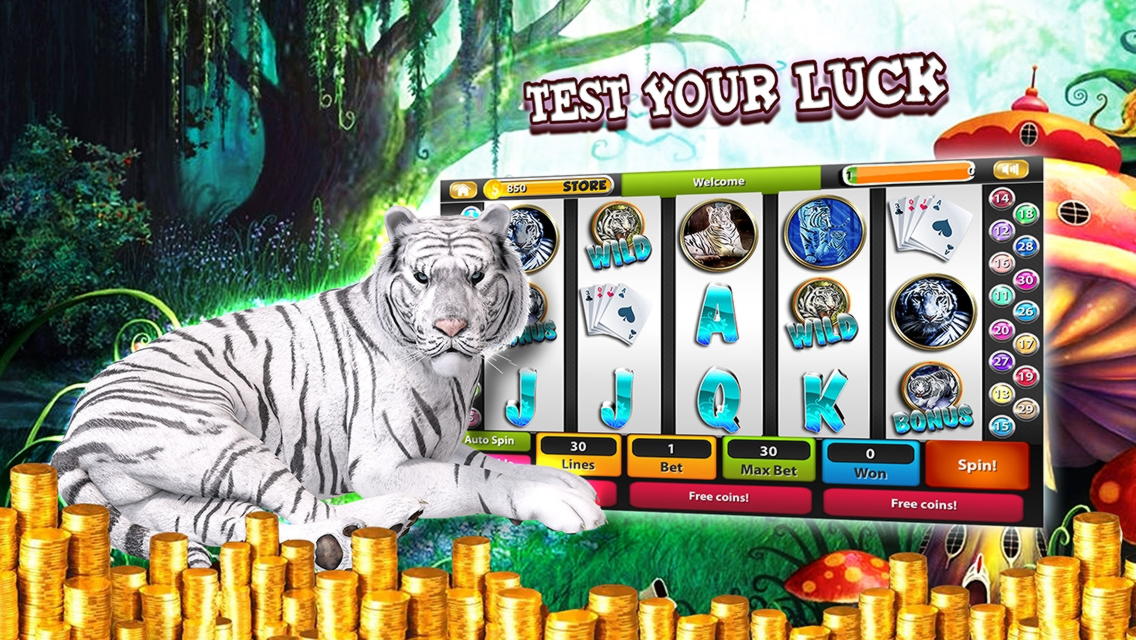 Eur 215 Daily freeroll slot tournament at River Belle Casino