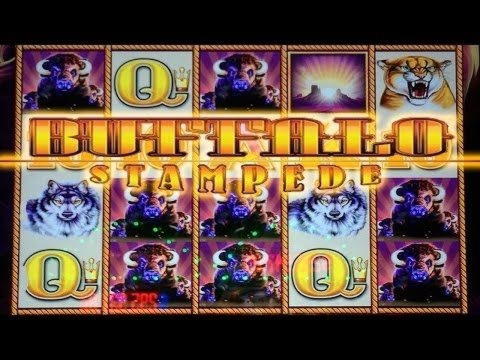 880% Deposit match bonus at Emu Casino