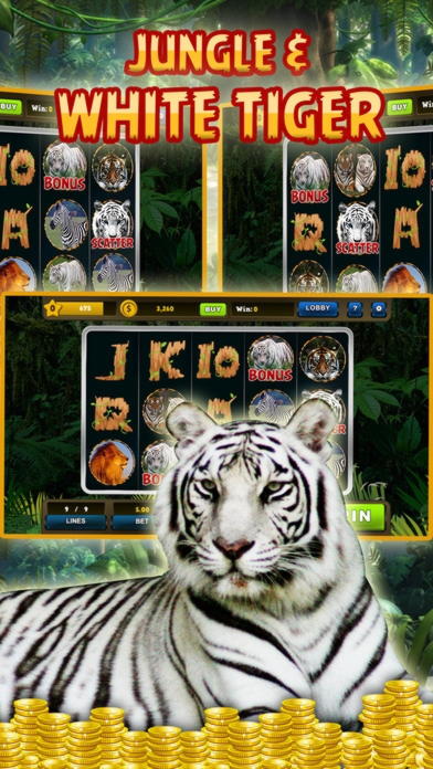 $260 Casino Tournament at Casino Las Vegas