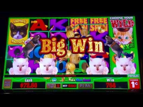 EURO 222 Daily freeroll slot tournament at Spin Palace Casino