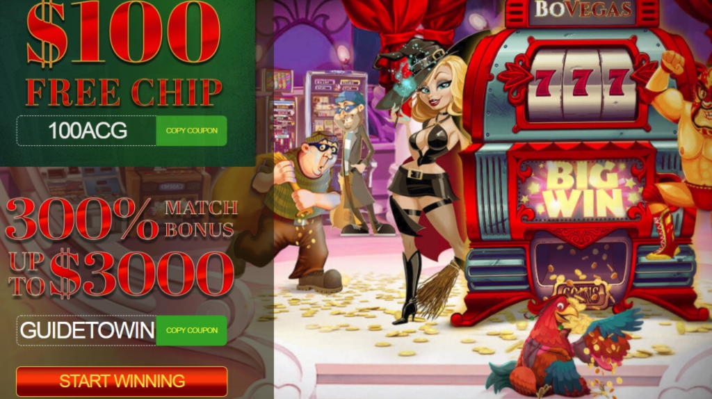 $780 Daily freeroll slot tournament at Leo Dubai Casino