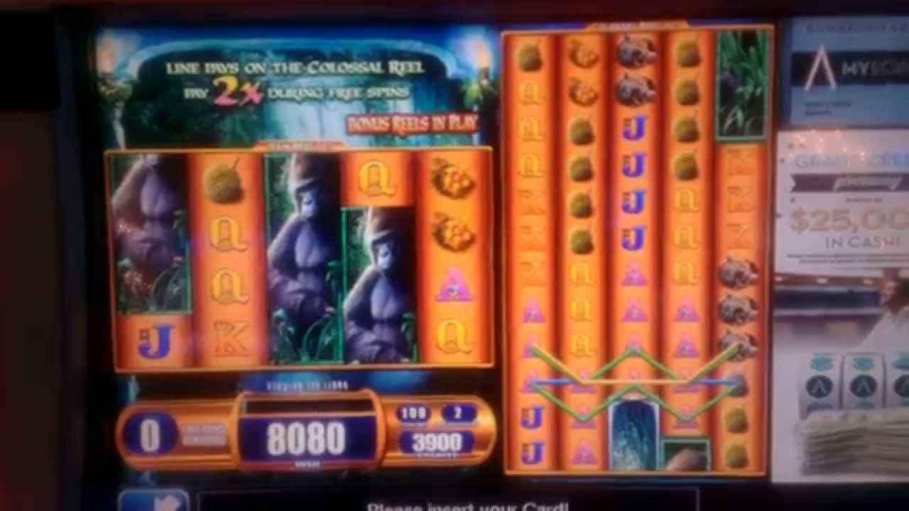 305% Casino Welcome Bonus at Joy Casino